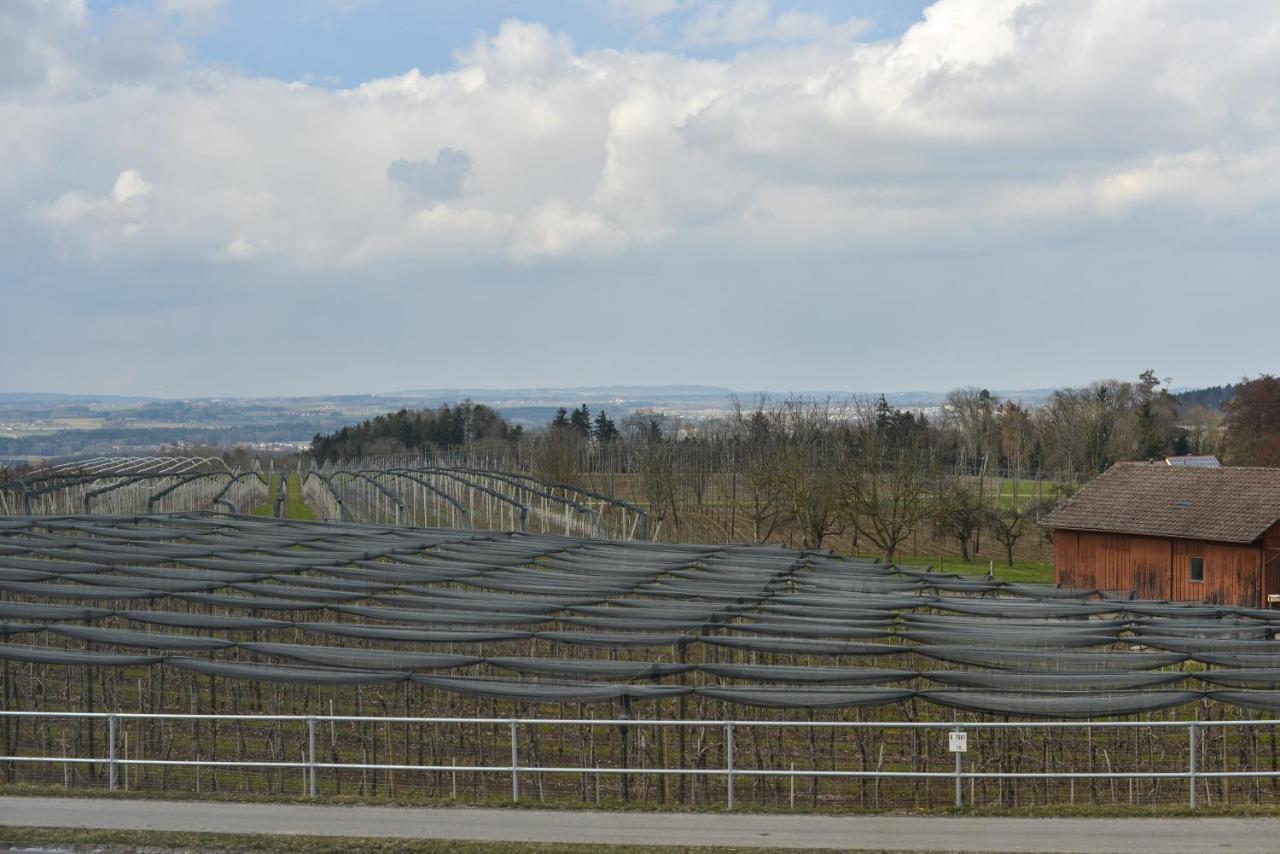 Gut Huegle Jugendzimmer Ravensburg Exterior foto